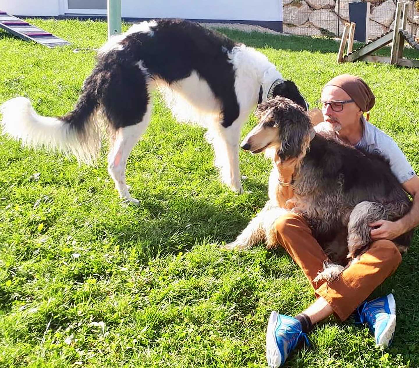 Hundehotel Anders 