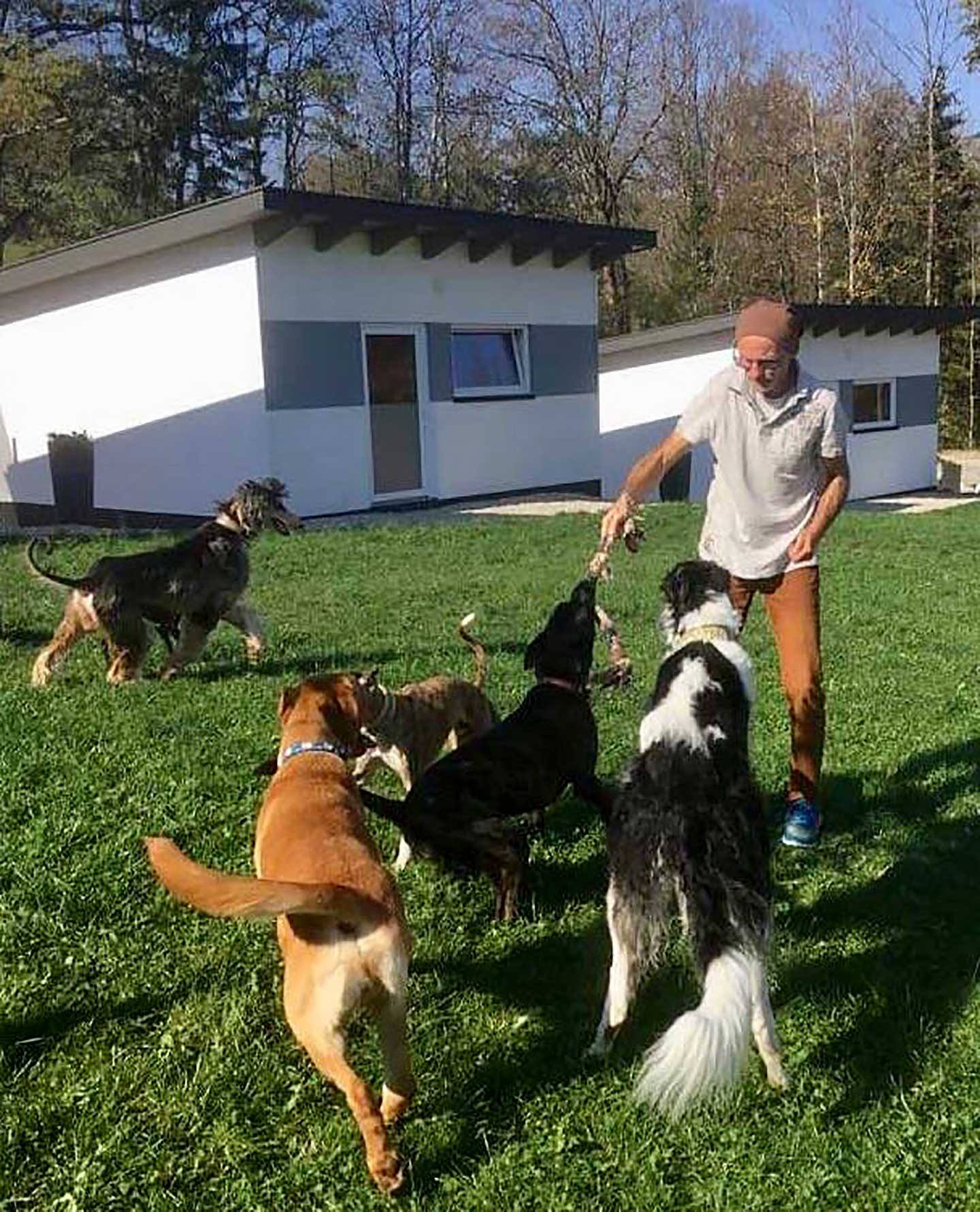 Hundehotel Anders 